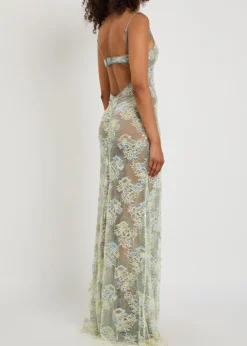 Sophia embellished stretch-lace maxi dress