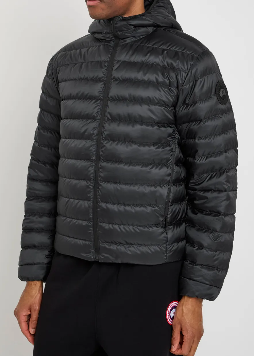 Stratus padded shell jacket