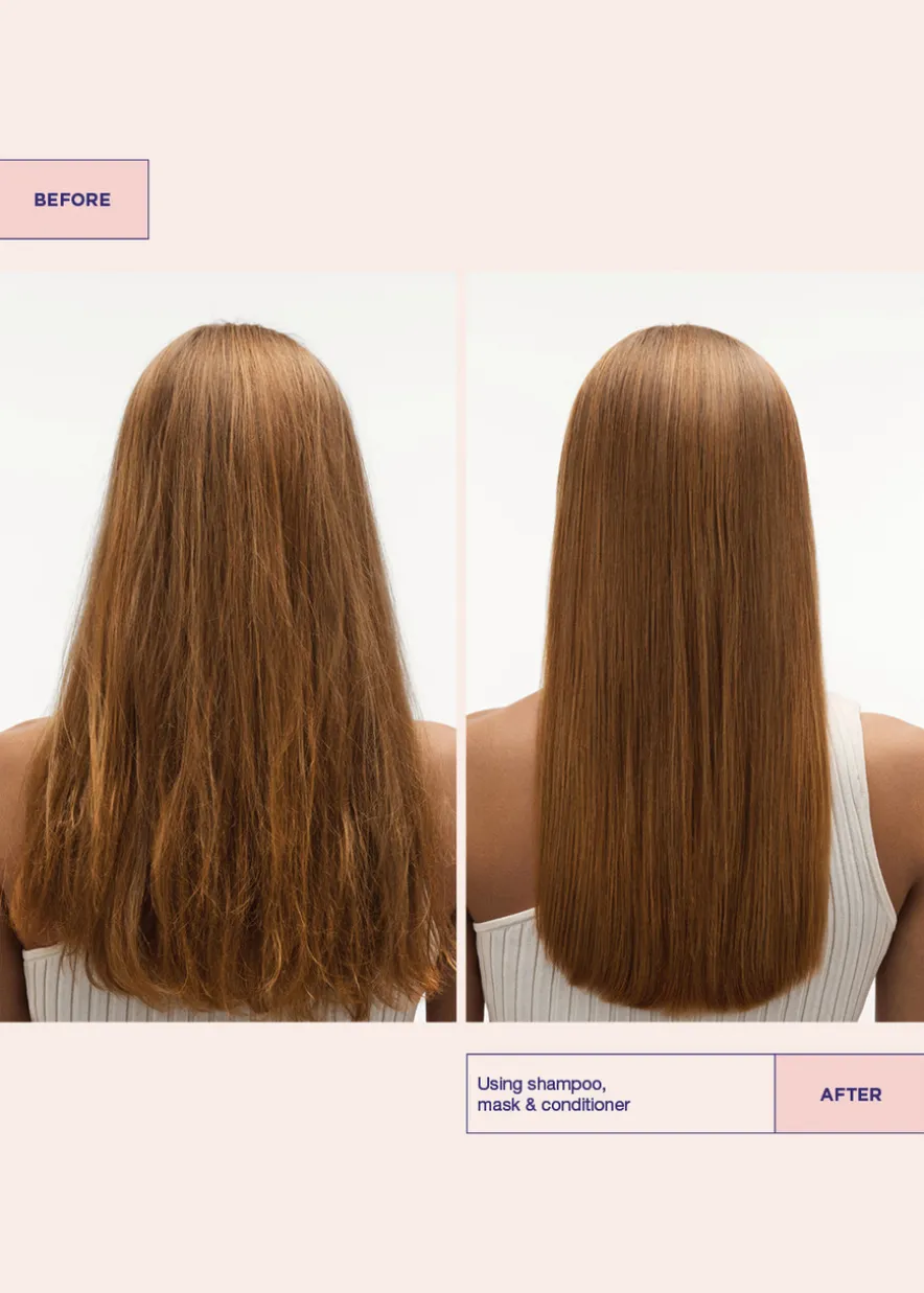 Structure Repair Conditioner