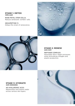 The Absolute Peptide8 Night Serum