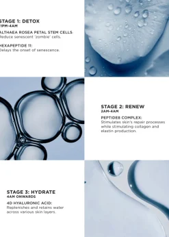 The Absolute Peptide8 Night Serum Refill