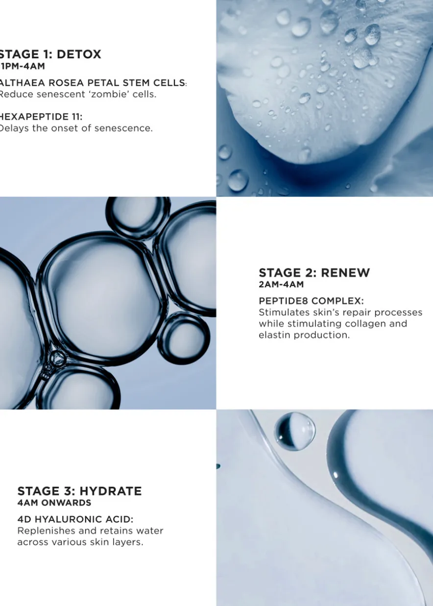 The Absolute Peptide8 Night Serum Refill
