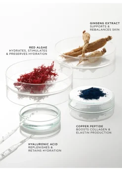 The Elemental Preparation Essence