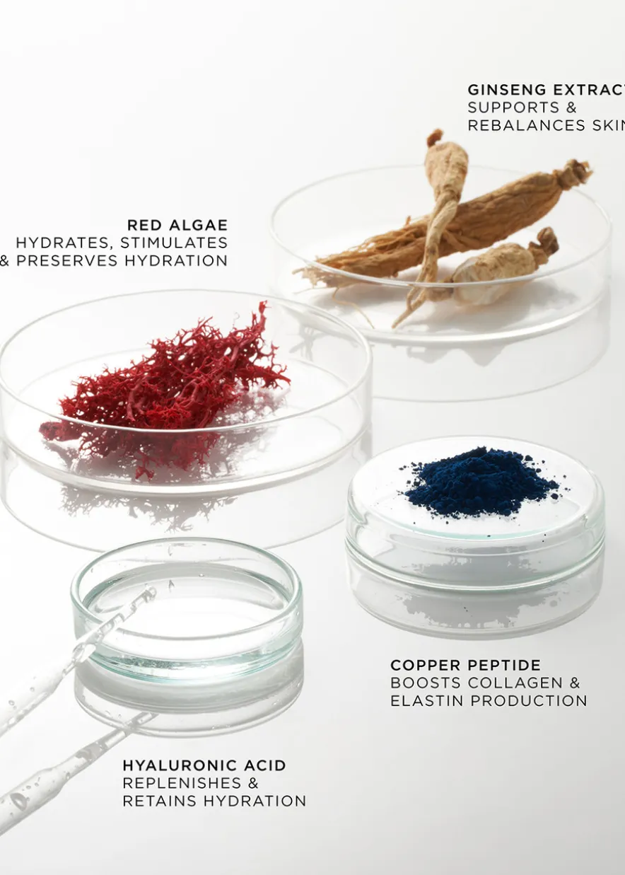 The Elemental Preparation Essence Refill