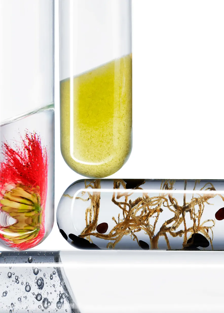 The Exceptional Eye Lift Concentrate Refill