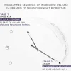 The Exceptional Overnight Chronobiology Peel 8 DOSE