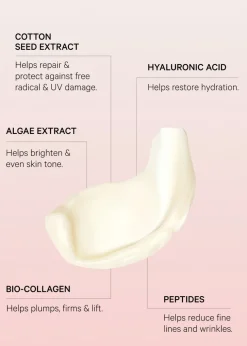 The Light Moisturiser 50ml