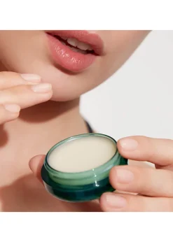 The Lip Balm