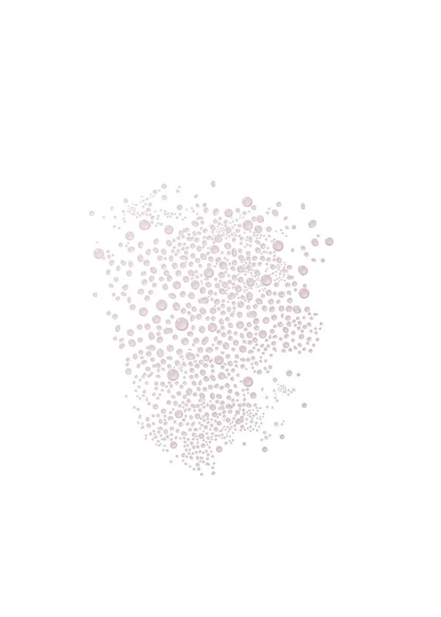 The Revitalizing Mist 100ml
